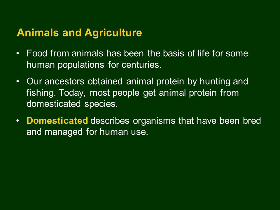Animals and Agriculture