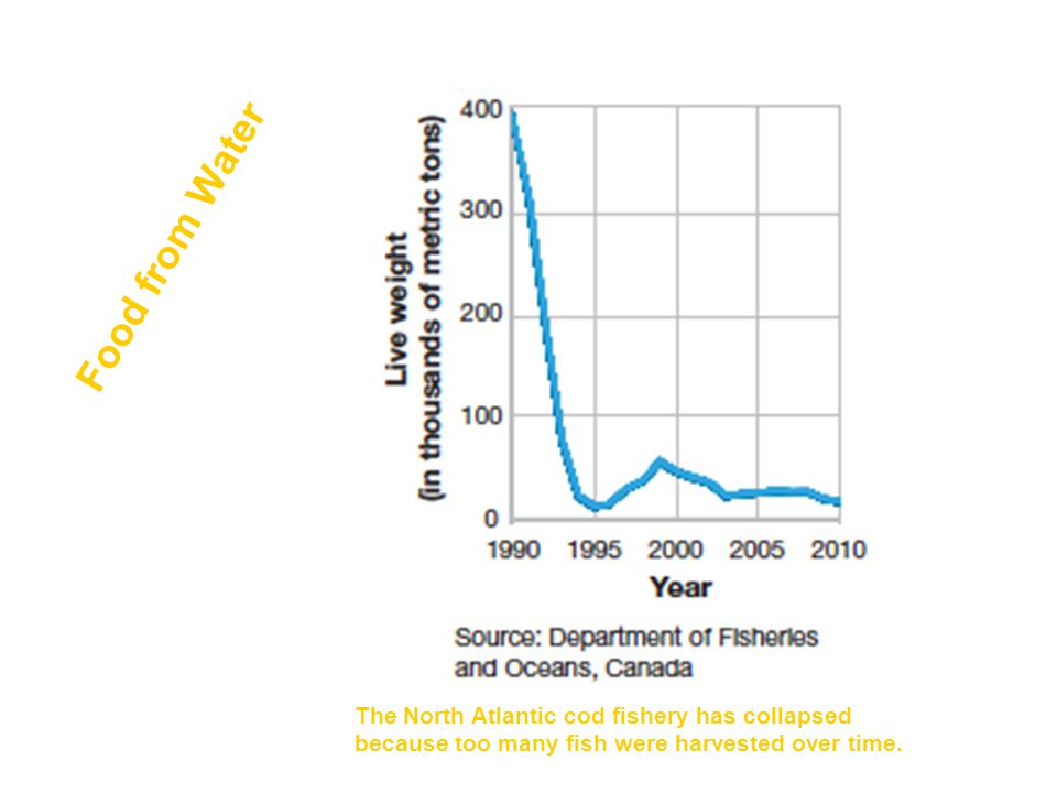 Food from Water The North Atlantic cod fishery has collapsed because too many fish were harvested over time.