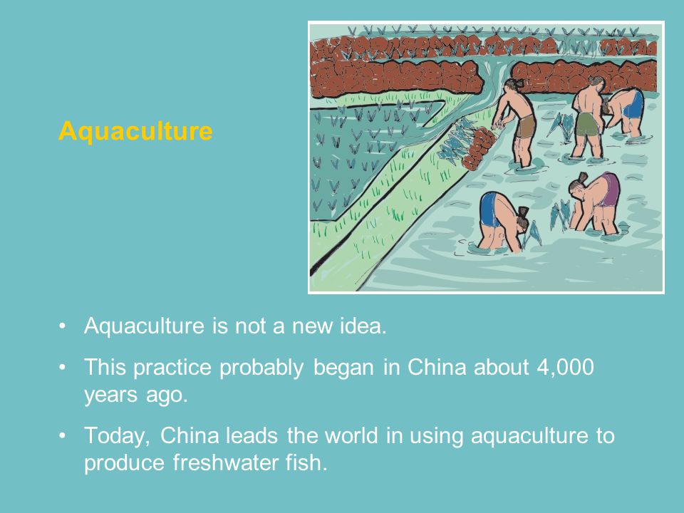 Aquaculture Aquaculture is not a new idea.