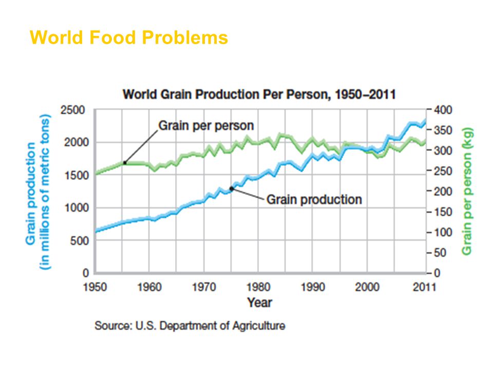 World Food Problems