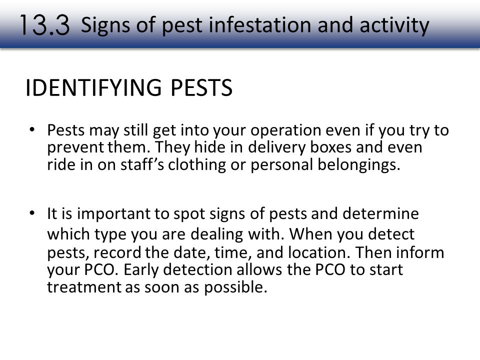 Signs of pest infestation and activity
