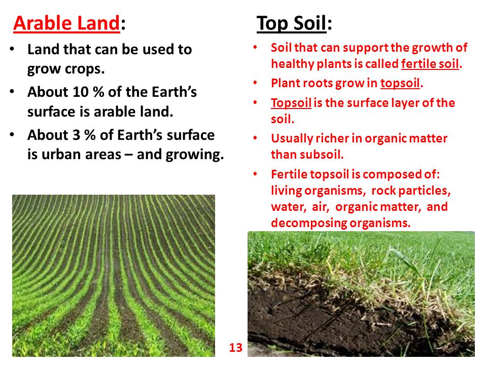 Arable Land: Top Soil: Land that can be used to grow crops.