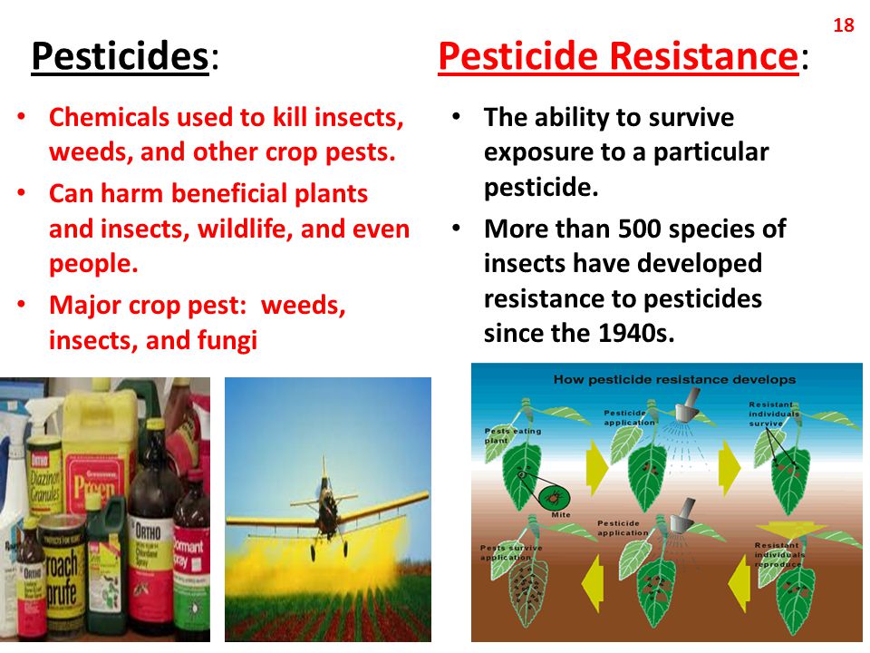 Pesticides: Pesticide Resistance: