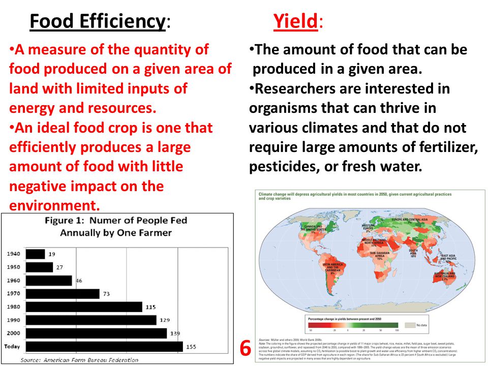 Food Efficiency: Yield: