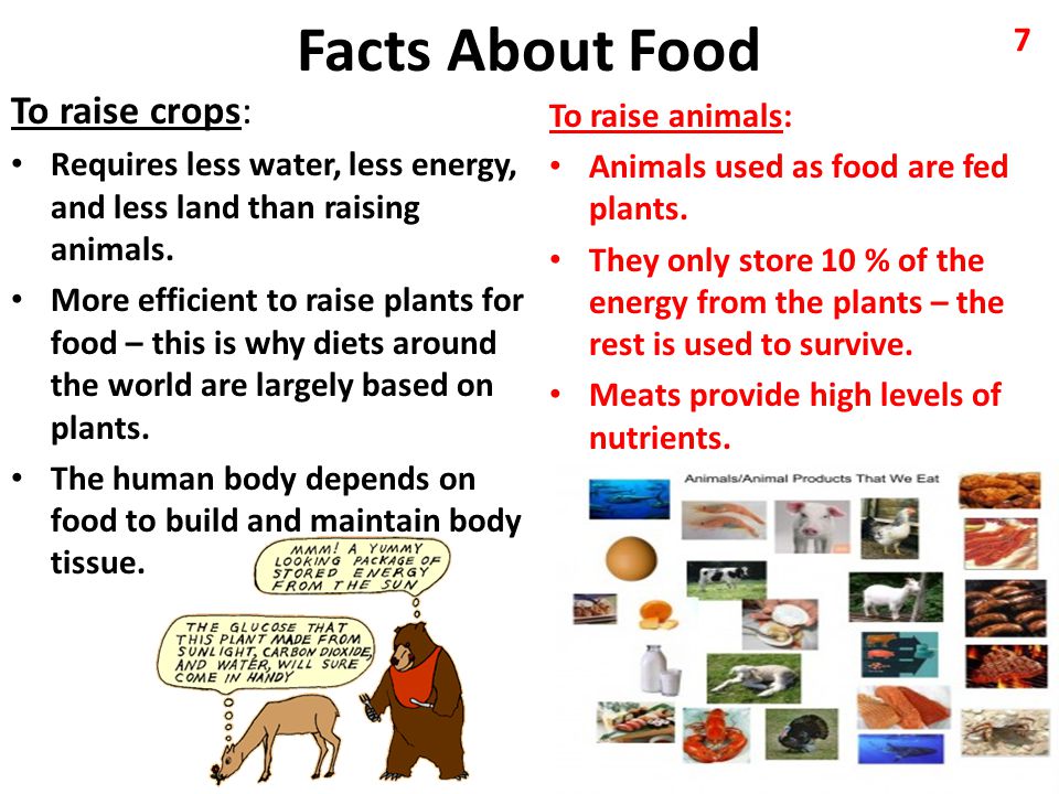 Facts About Food To raise crops: To raise animals: