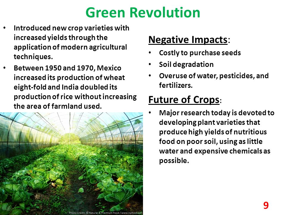 Green Revolution Negative Impacts: Future of Crops: