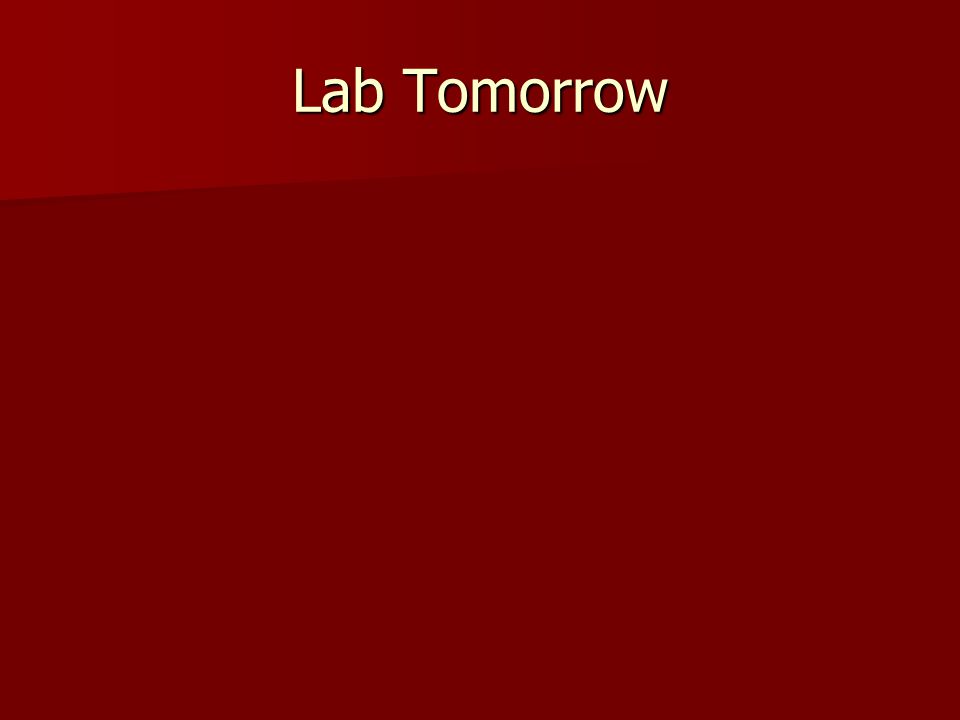 Lab Tomorrow