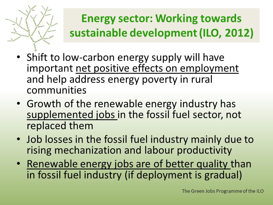 Energy sector: Working towards sustainable development (ILO, 2012)