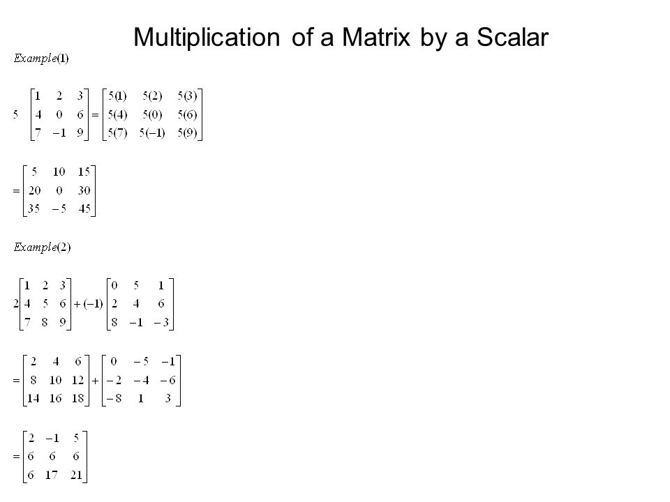 Multiplication of a Matrix by a Scalar