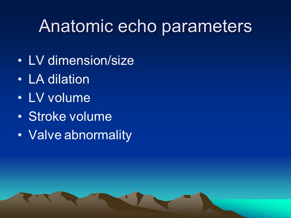 Anatomic echo parameters