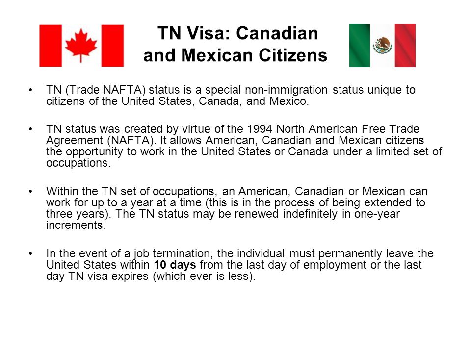 TN Visa: Canadian and Mexican Citizens
