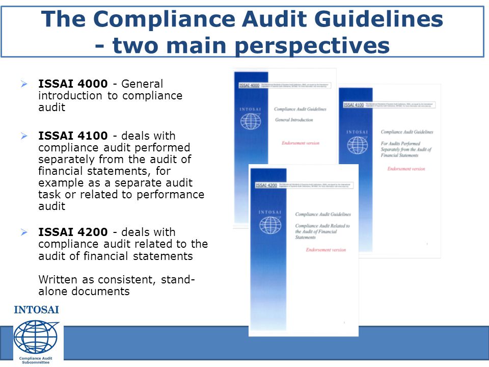 The Compliance Audit Guidelines - two main perspectives