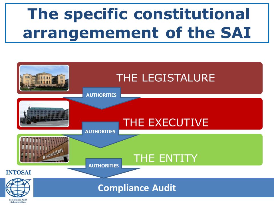 The specific constitutional arrangemement of the SAI