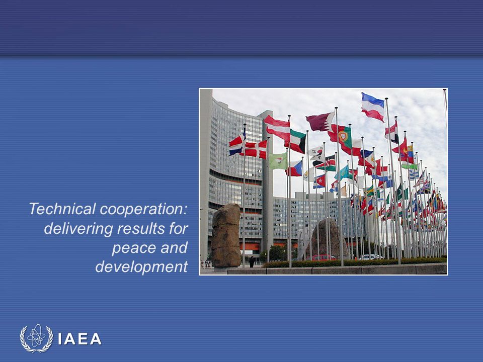 Technical cooperation: delivering results for peace and development