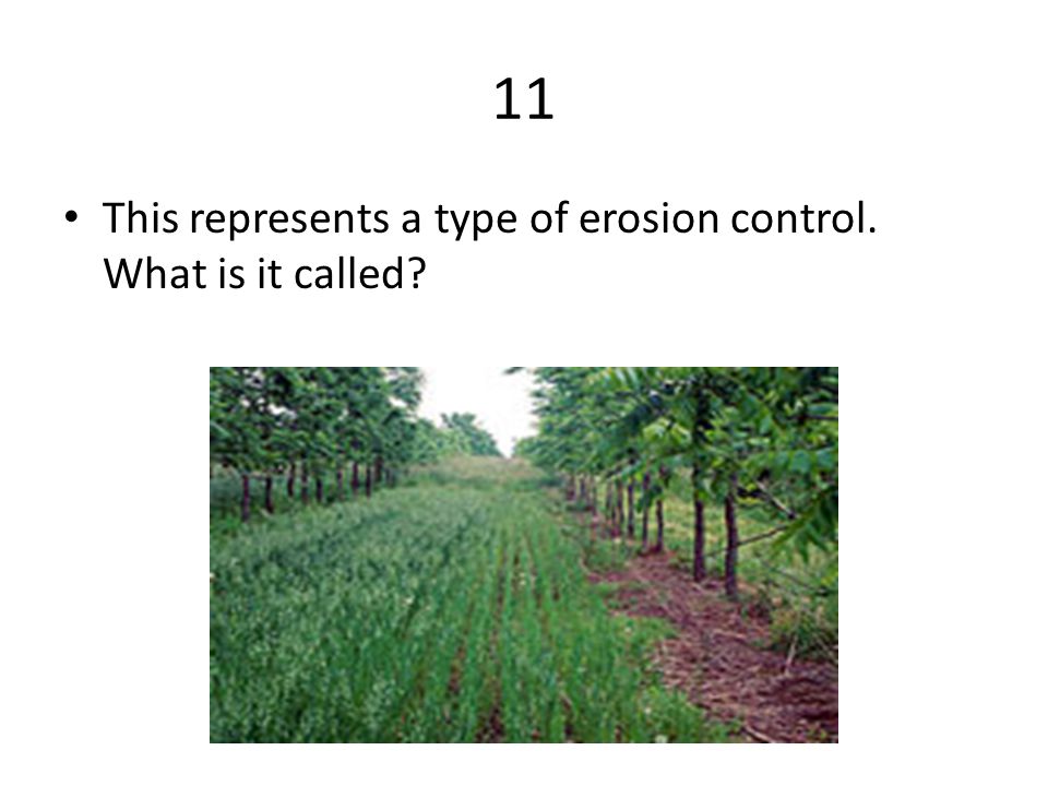 11 This represents a type of erosion control. What is it called