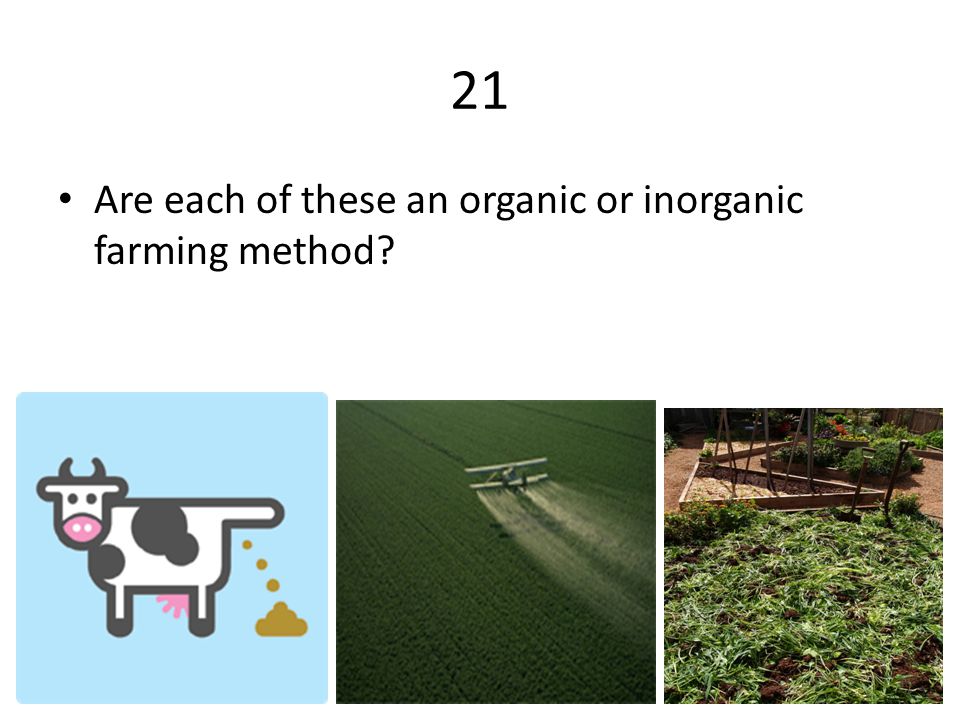 21 Are each of these an organic or inorganic farming method