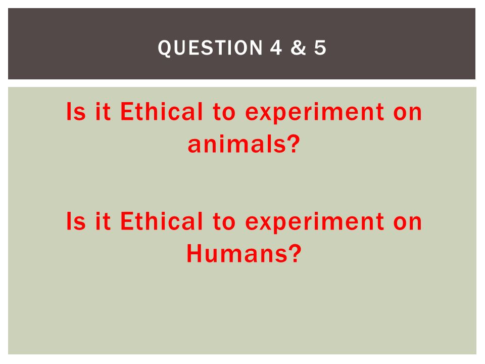 Is it Ethical to experiment on animals