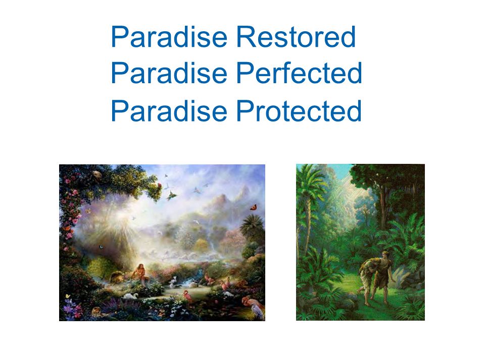 Paradise Restored Paradise Perfected Paradise Protected