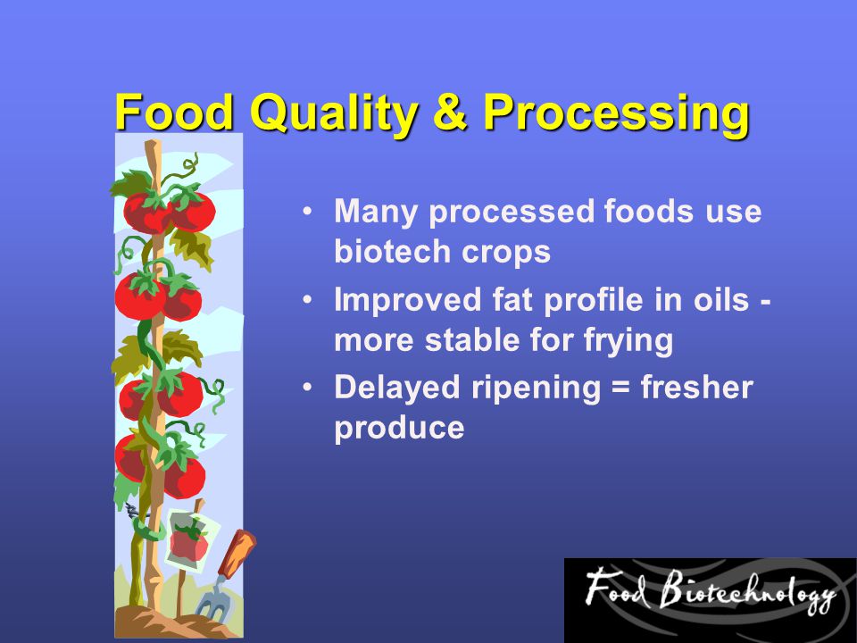 Food Quality & Processing