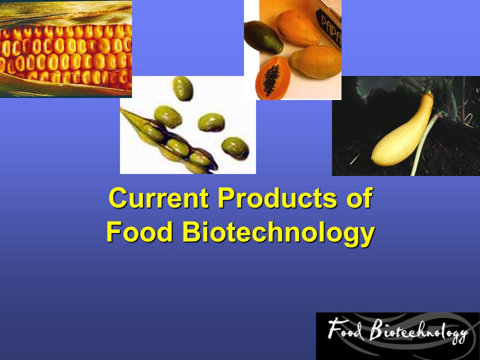 Current Products of Food Biotechnology