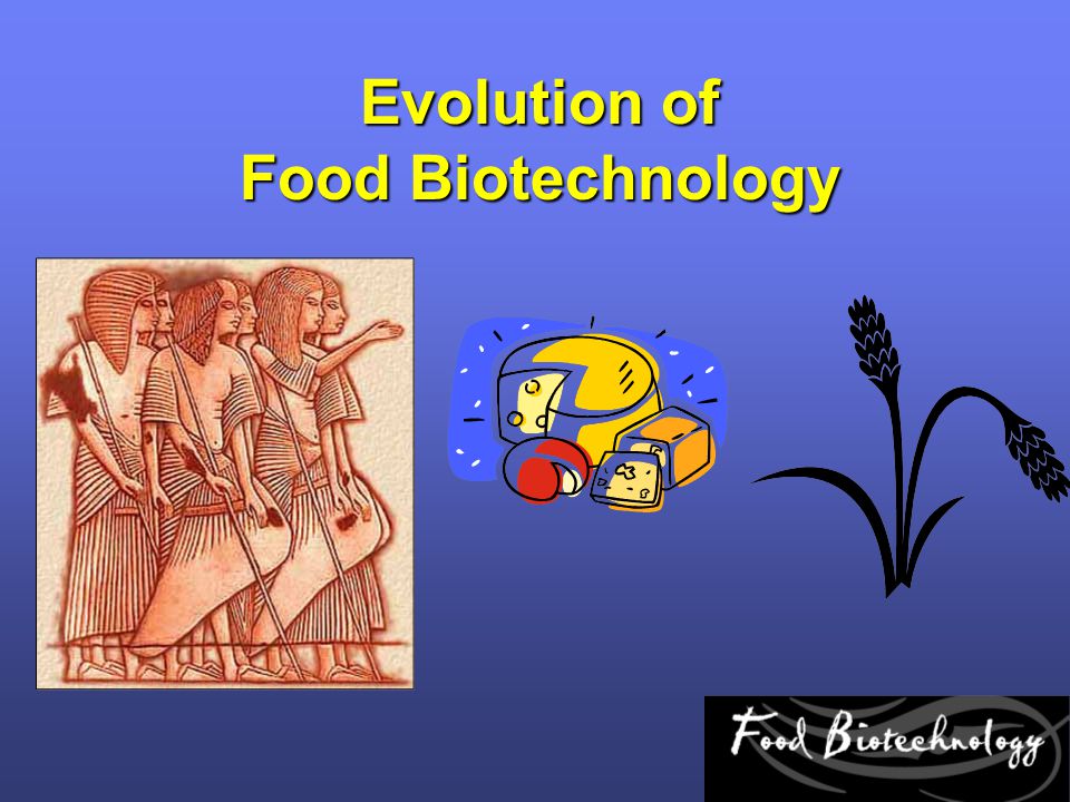 Evolution of Food Biotechnology