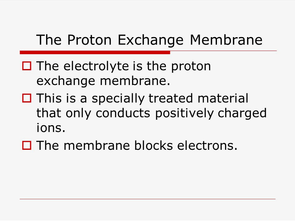 The Proton Exchange Membrane
