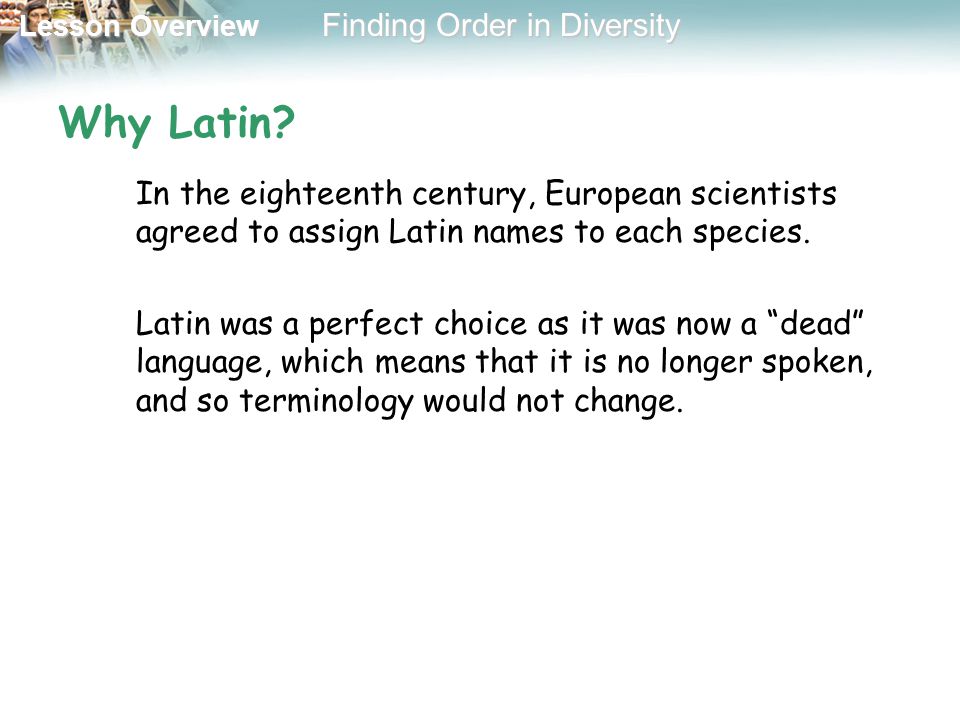 Why Latin In the eighteenth century, European scientists agreed to assign Latin names to each species.