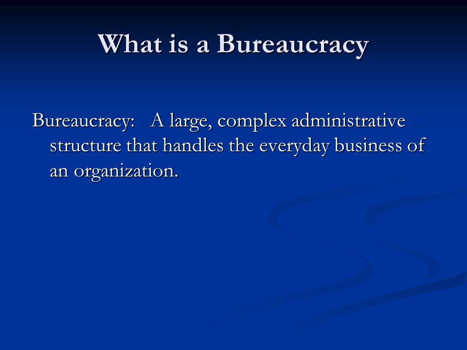 chapter 15 government at work: bureaucracy.