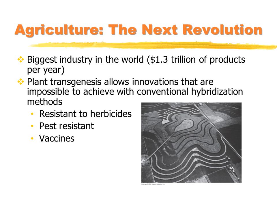 Agriculture: The Next Revolution