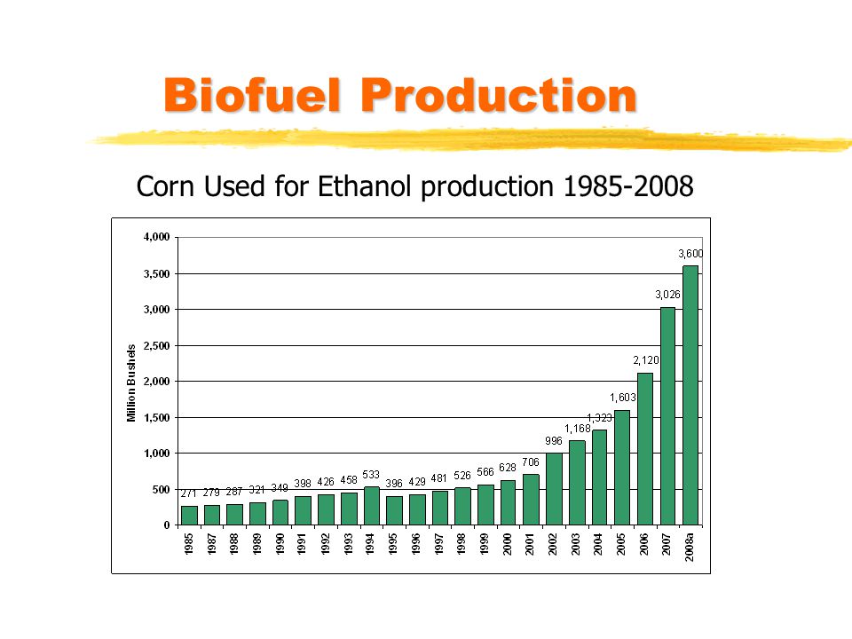 Biofuel Production Corn Used for Ethanol production