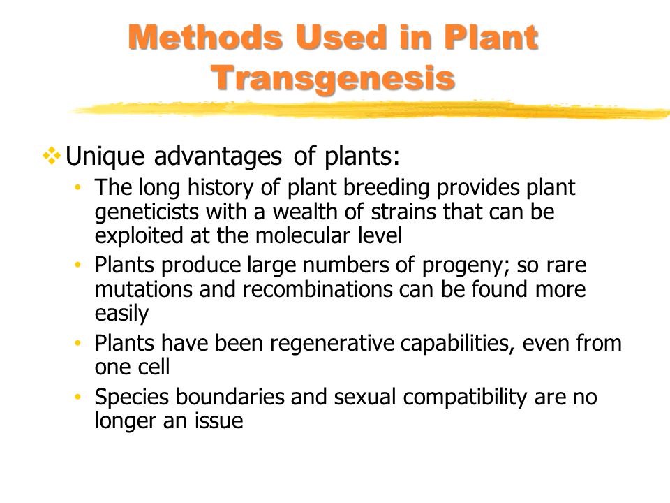 Methods Used in Plant Transgenesis