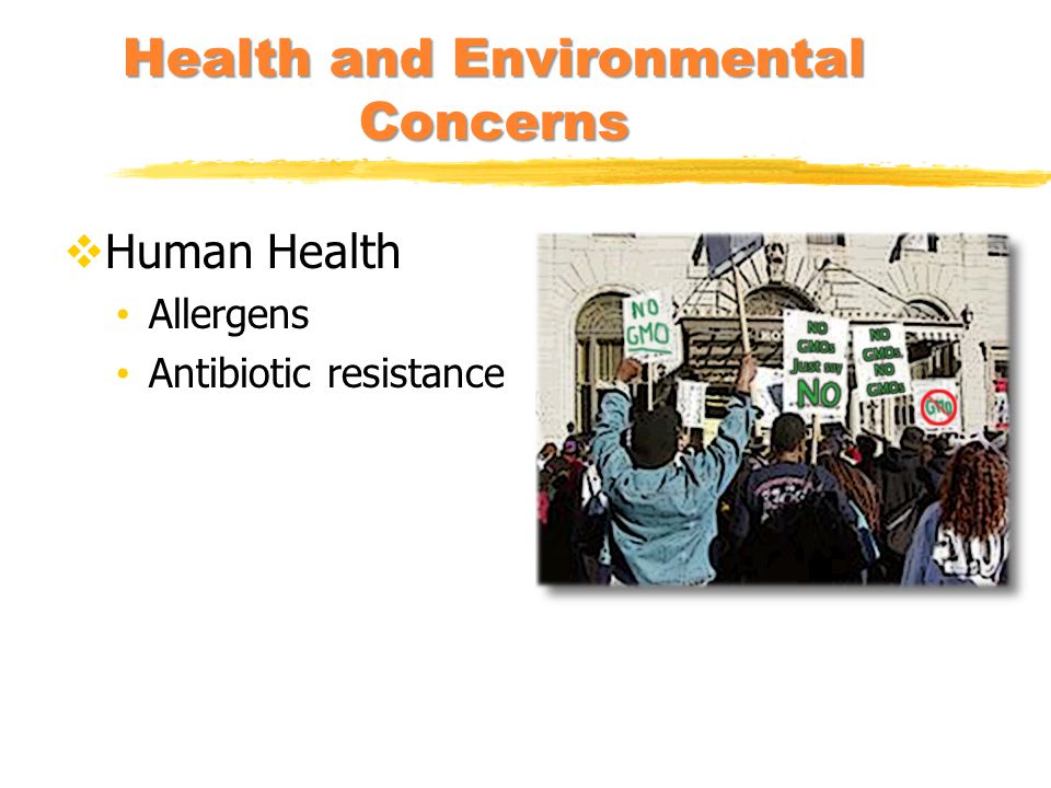 Health and Environmental Concerns