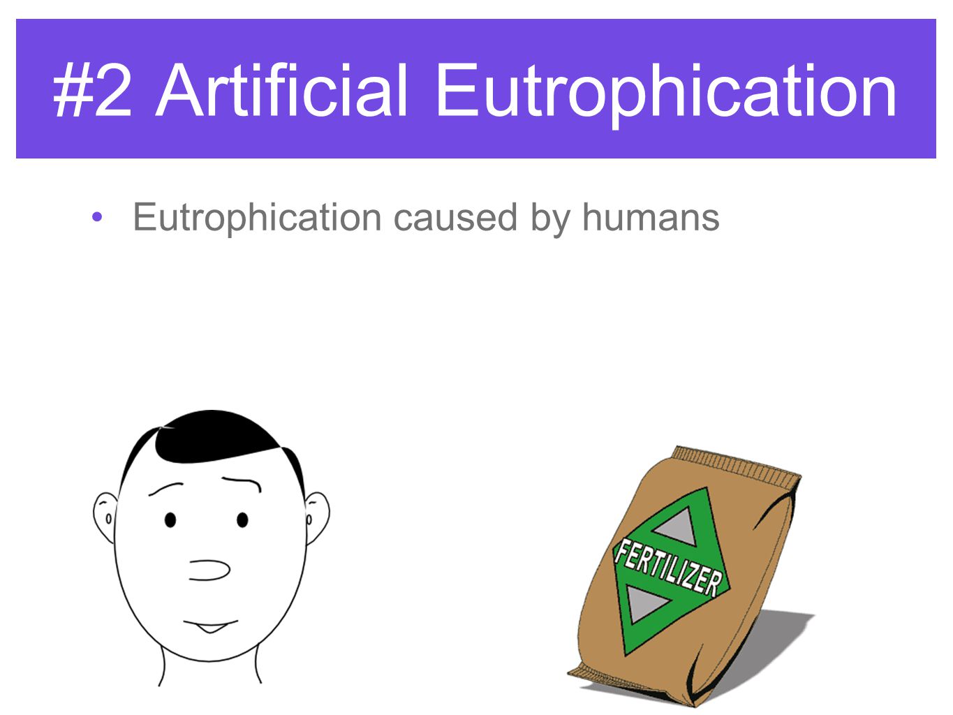 #2 Artificial Eutrophication