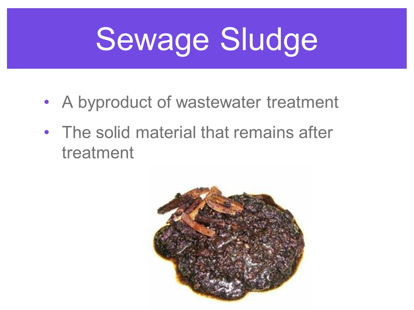 Sewage Sludge A byproduct of wastewater treatment