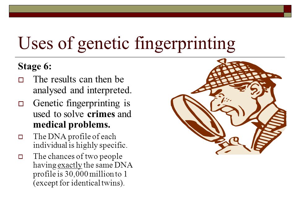 Uses of genetic fingerprinting