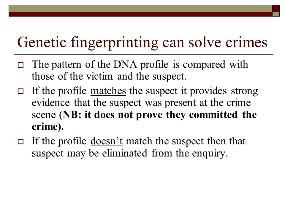 Genetic fingerprinting can solve crimes