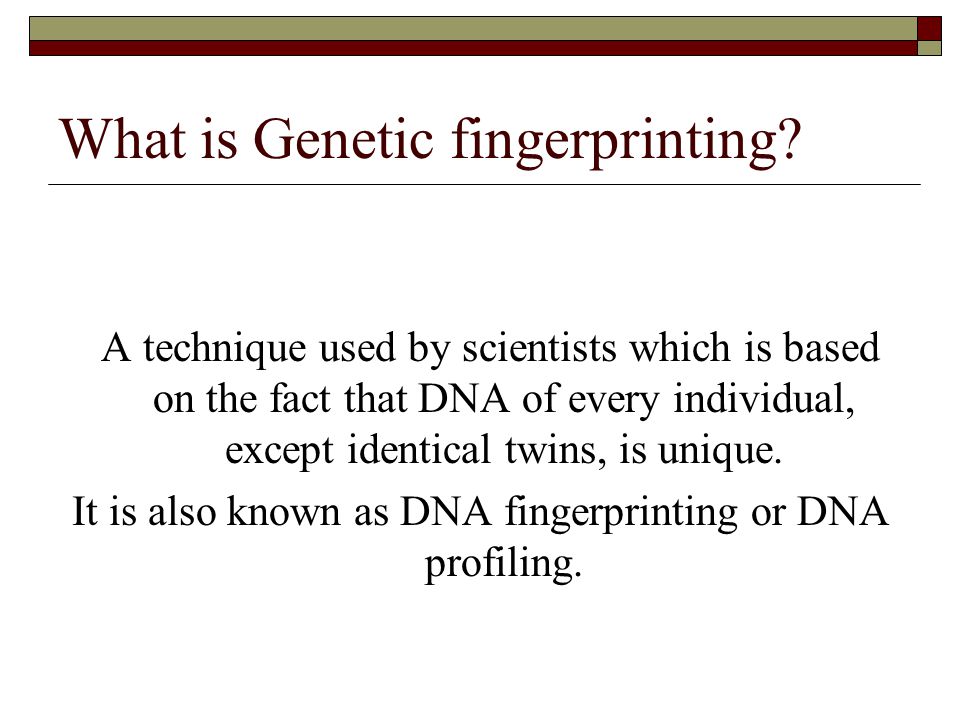 What is Genetic fingerprinting