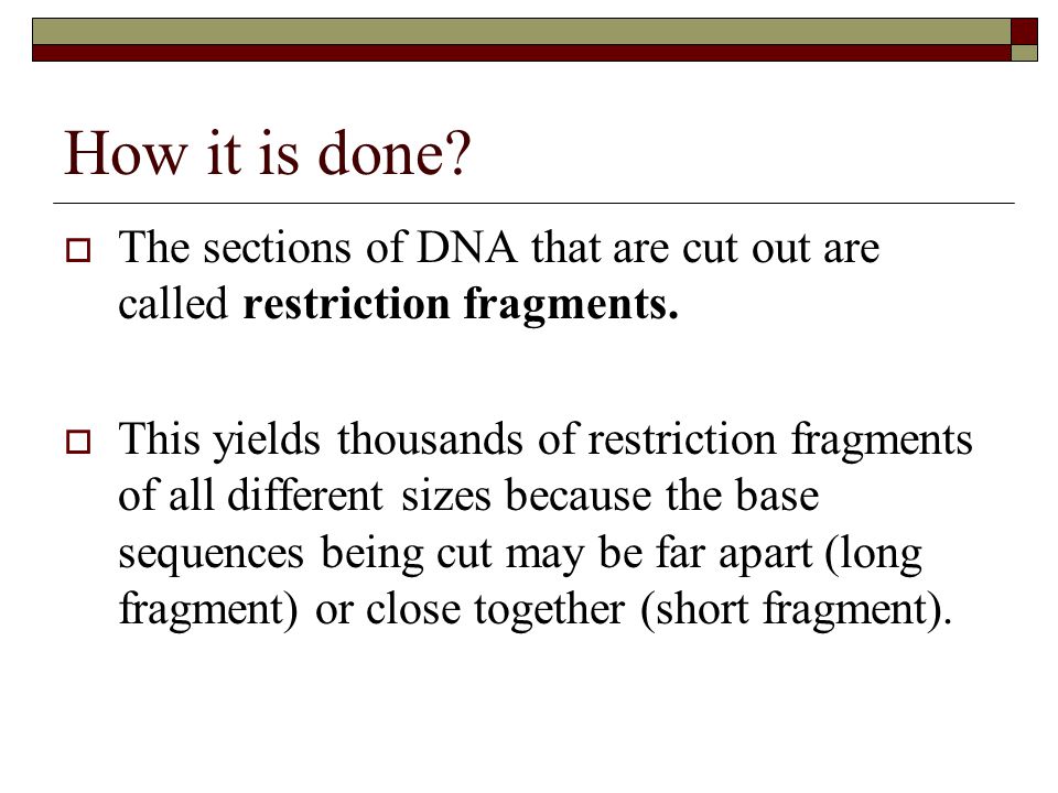 How it is done The sections of DNA that are cut out are called restriction fragments.