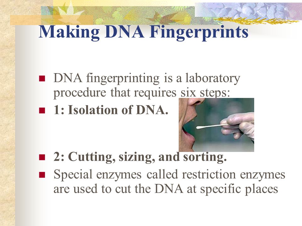 Making DNA Fingerprints