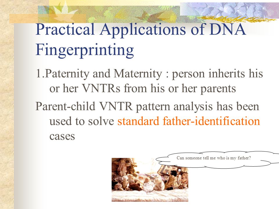 Practical Applications of DNA Fingerprinting