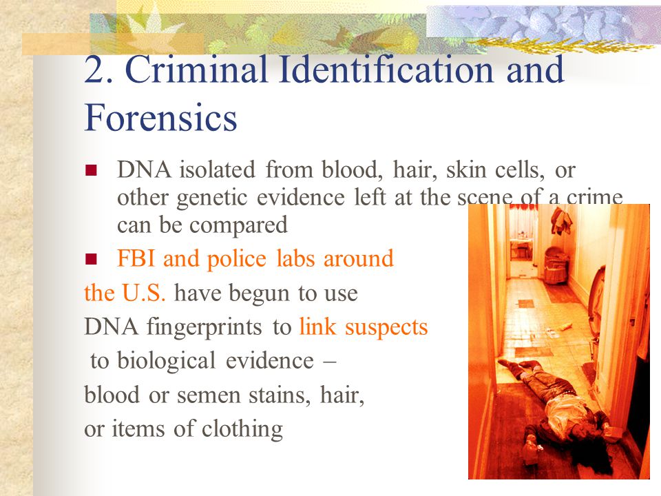 2. Criminal Identification and Forensics