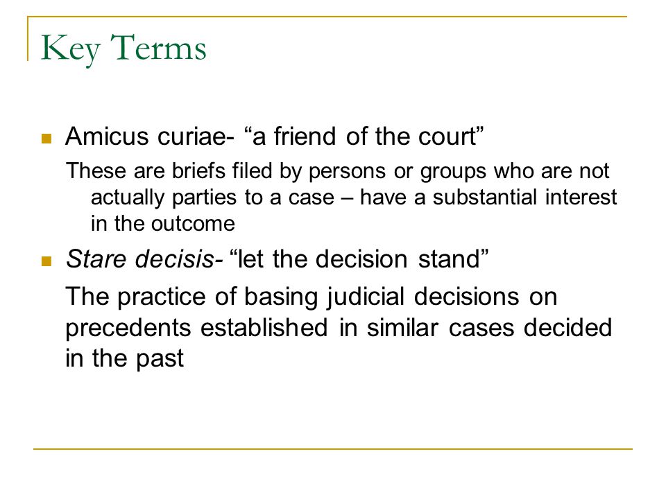 Key Terms Amicus curiae- a friend of the court
