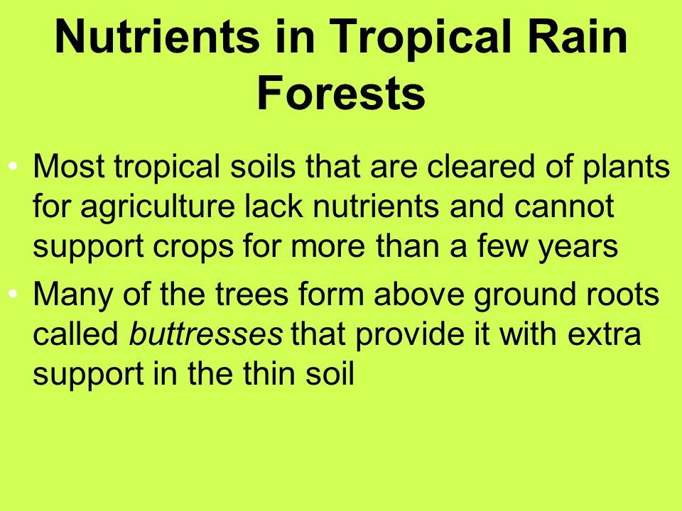Nutrients in Tropical Rain Forests