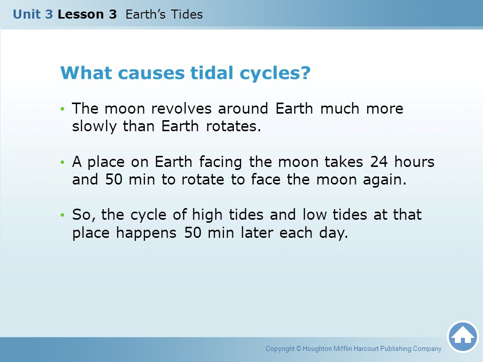 What causes tidal cycles