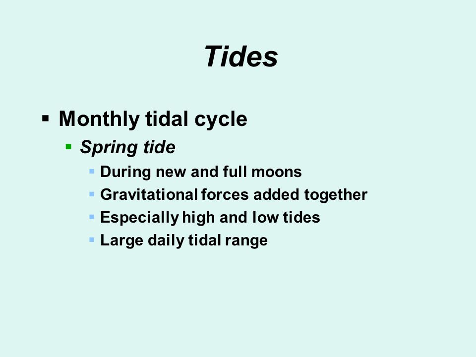Tides Monthly tidal cycle Spring tide During new and full moons