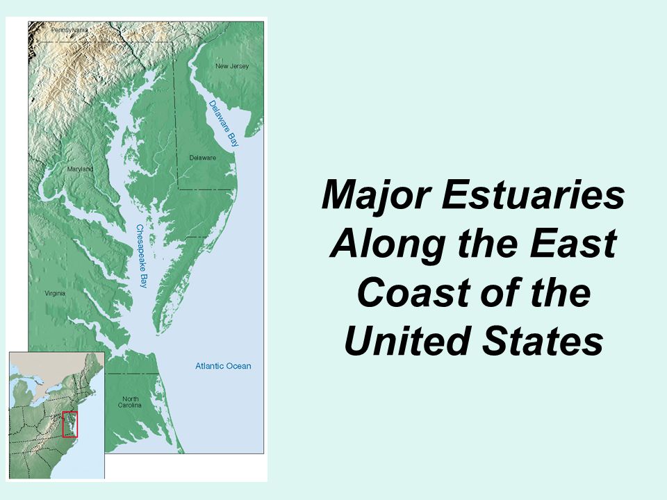 Major Estuaries Along the East Coast of the United States