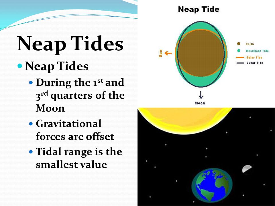 Neap Tides During the 1st and 3rd quarters of the Moon