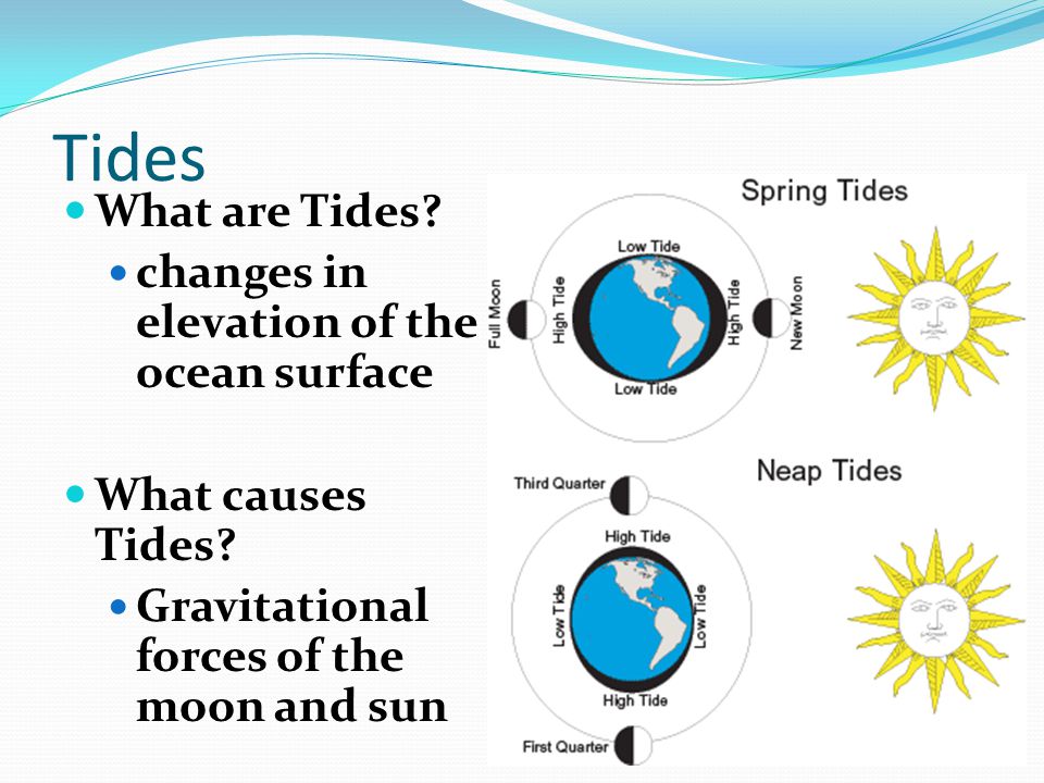 Tides What are Tides changes in elevation of the ocean surface