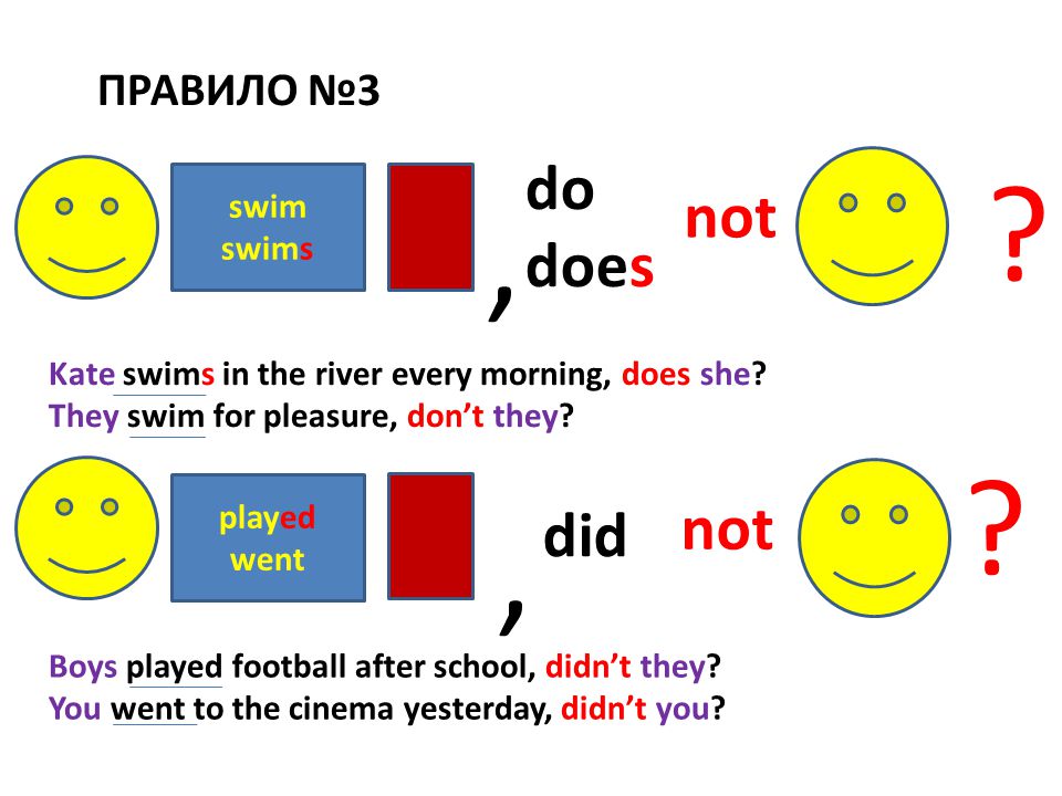 , , do not does not did ПРАВИЛО №3 swim swims