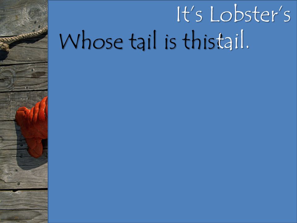 It’s Lobster’s tail. Whose tail is this